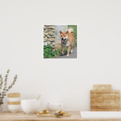 Shiba Inu Walking Poster (Küche)