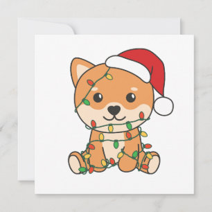 Shiba Inu Weihnachten Winter Niedliche Hunde
