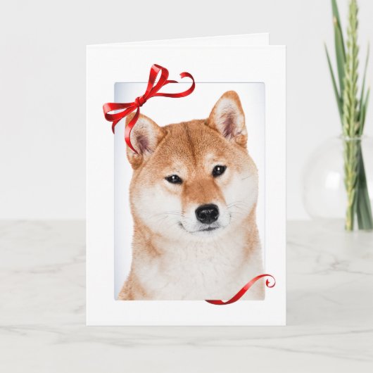 Shiba Inu Weihnachtskarte Feiertagskarte (Vorderseite)
