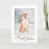 Shiba Inu Weihnachtskarte Feiertagskarte (Vorderseite)