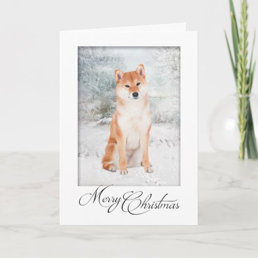 Shiba Inu Weihnachtskarte Feiertagskarte (Vorderseite)