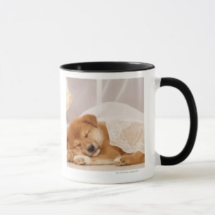 Shiba Inu Welpe, der unter einem Nettovorhang Tasse