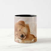 Shiba Inu Welpe, der unter einem Nettovorhang Zweifarbige Tasse (Mittel)