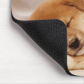 Shiba Inu Welpe, die unter einem Netzvorhang schlä Mousepad (Ecke)