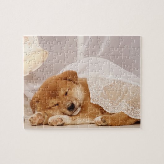Shiba Inu Welpe, die unter einem Netzvorhang schlä Puzzle (Horizontal)