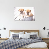 Shiba Inu Welpen in Aluminiumwanne Leinwanddruck (Insitu (Schlafzimmer))