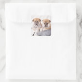 Shiba Inu Welpen in Aluminiumwanne Quadratischer Aufkleber (Tasche)