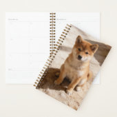 Shiba Inu Welpenplaner Planer (Anzeige)