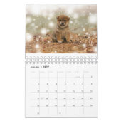 Shiba Inu Welppies Kalender (Jan 2027)