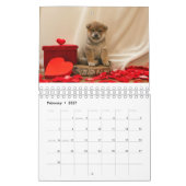 Shiba Inu Welppies Kalender (Feb 2027)