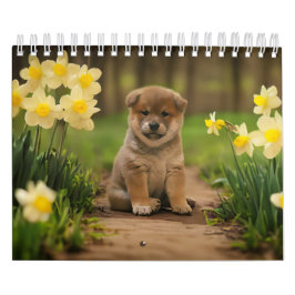 Shiba Inu Welppies Kalender