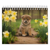 Shiba Inu Welppies Kalender (Titelbild)