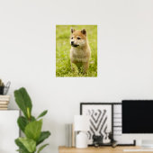 Shiba-ken-Welpe Poster (Heimbüro)