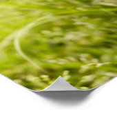 Shiba-ken-Welpe Poster (Ecke)