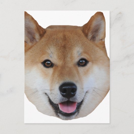 shibe.png postkarte (Vorderseite)