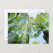 Shibuya-ku, Tokio, Japan Postkarte (Vorne/Hinten)