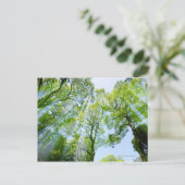 Shibuya-ku, Tokio, Japan Postkarte (Stehend Vorderseite)