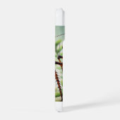 Shield Backed Katydid 230924IREF220 - Watercolor iPhone Hülle (Rechte Seite)