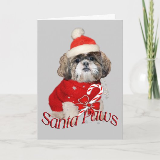 Shift Tzu Santa Paws Karten (Vorderseite)