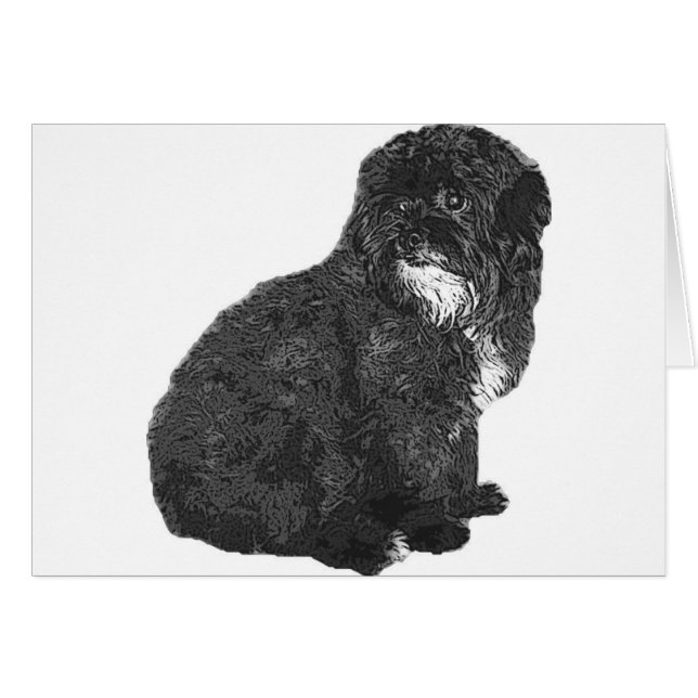 Shih Poo (Vorderseite (Horizontal))