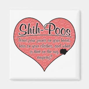 Shih--Pootatze druckt Hunde Humor Magnet