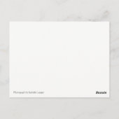 Shih Tau Girl Postcard Postkarte (Rückseite)