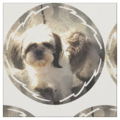 shih-tsu-2 stoff (Nahaufnahme)