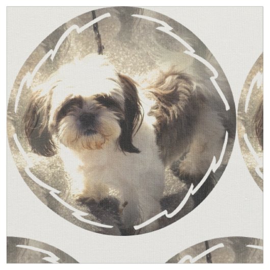 shih-tsu-2 stoff (Nahaufnahme)