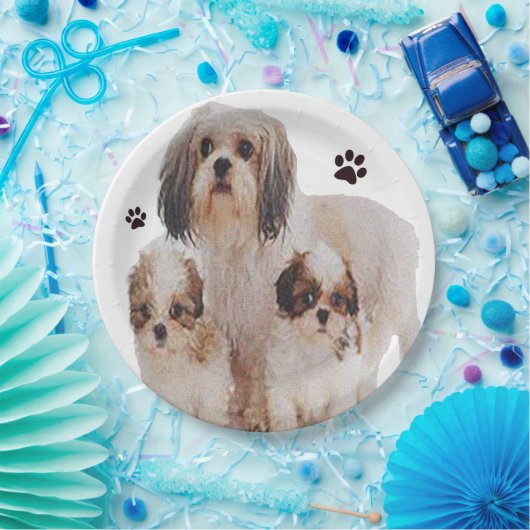Shih-tsu Pappteller (Party)