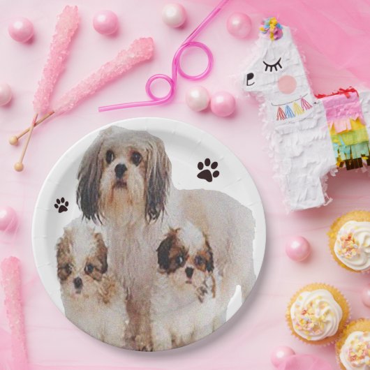 Shih-tsu Pappteller (Party)