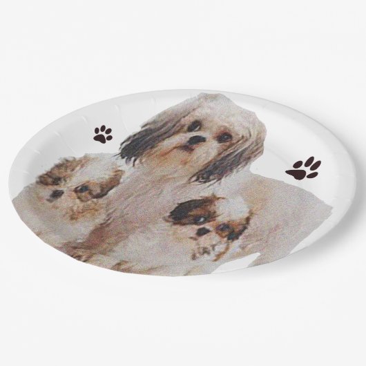 Shih-tsu Pappteller (Schrägansicht)