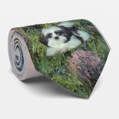 Shih Tzu (A)- an der Seine Krawatte (Gerollt)