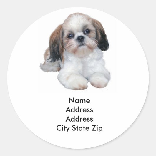 Shih Tzu Address Label Runder Aufkleber (Vorderseite)