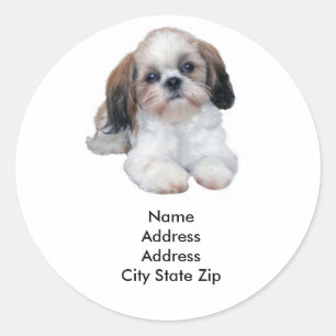 Shih Tzu Address Label Runder Aufkleber