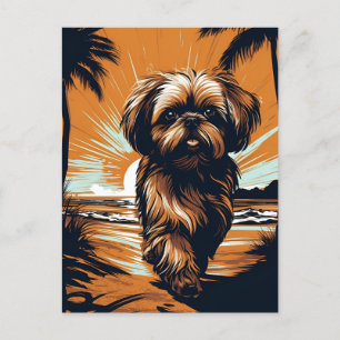 Shih-tzu am Strand Postkarte
