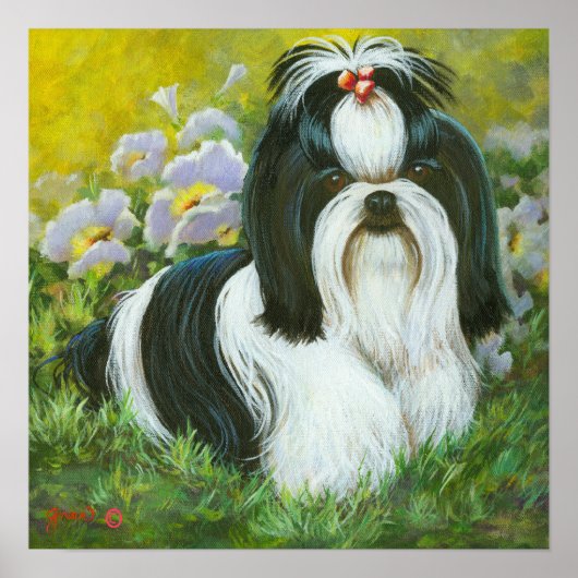 Shih Tzu Art Print auf Leinwand Poster (Vorne)