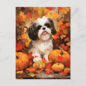 Shih Tzu Autumn Erntedank Postkarte (Vorderseite)