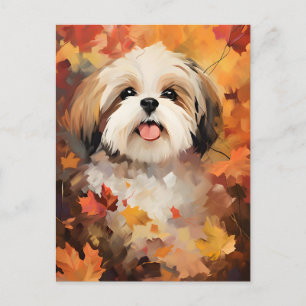 Shih Tzu Autumn Erntedank Postkarte