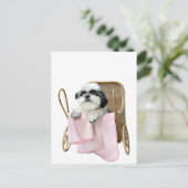 Shih Tzu baby Buggy Postkarte (Stehend Vorderseite)
