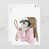 Shih Tzu baby Buggy Postkarte (Vorne/Hinten)