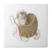 Shih Tzu-Babywagen Fliese (Vorderseite)