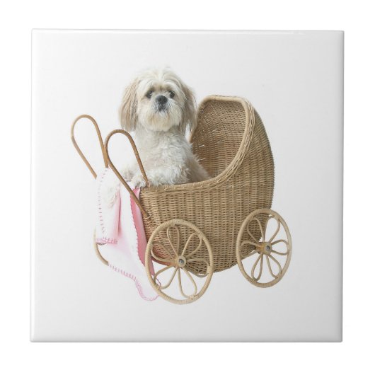 Shih Tzu-Babywagen Fliese (Vorderseite)