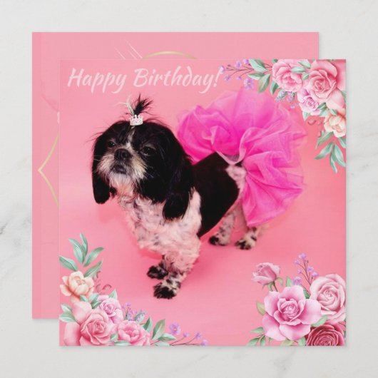 Shih Tzu Birthday Feiertagskarte (Vorne/Hinten)