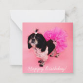 Shih Tzu Birthday Mitteilungskarte (Vorderseite)