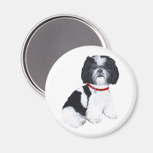Shih Tzu Black & White Magnet (Vorderseite/Rückseite)