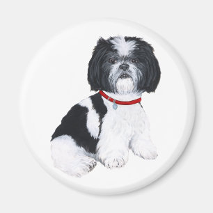 Shih Tzu Black & White Magnet