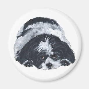 Shih Tzu Black & White Magnet