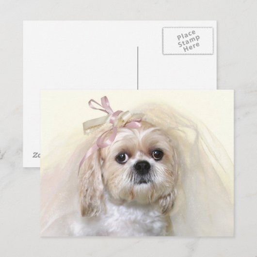 Shih Tzu Bride Postkarte (Vorne/Hinten)