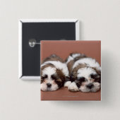 Shih Tzu Button (Vorne & Hinten)