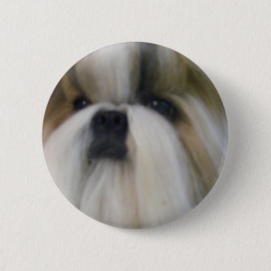 Shih Tzu Button (Vorderseite)
